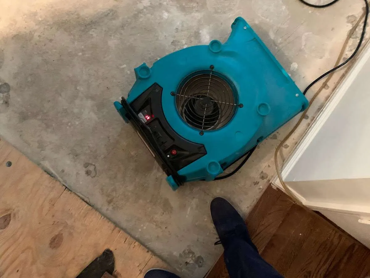 Air mover drying subfloor during Leak Detection & Repair in Laurel
